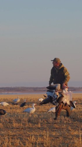 Video post from northernskiesoutfitters.