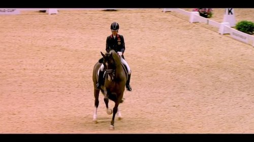 Video post from fei_global.