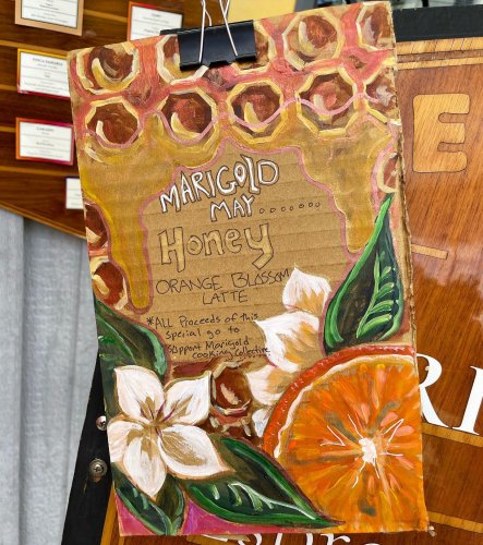 Photo post from equianocoffee.