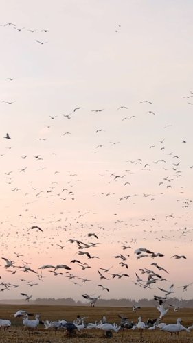 Video post from northernskiesoutfitters.