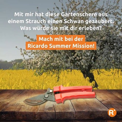 Video post from ricardo_ch.
