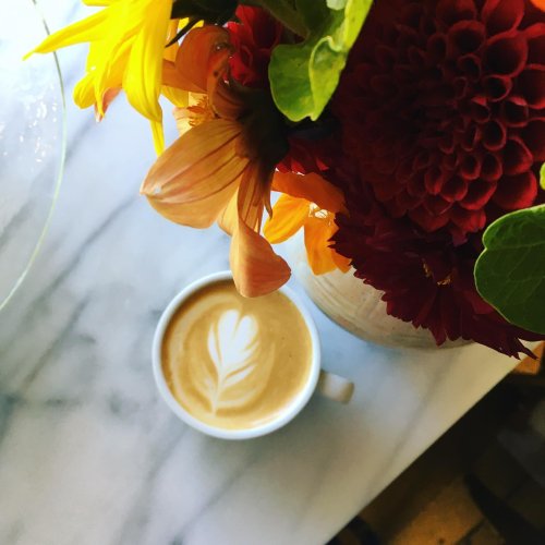 Photo post from equianocoffee.