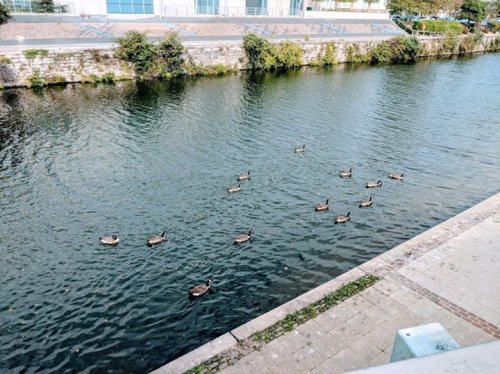 Photo post from kasarstays.