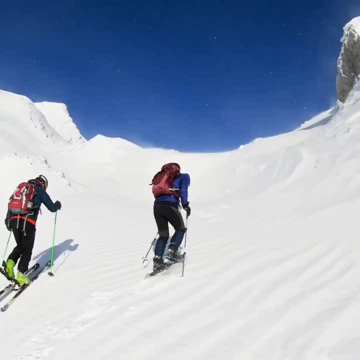 Video post from proximeo.