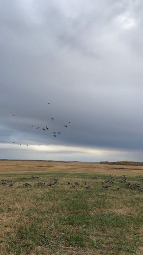 Video post from northernskiesoutfitters.