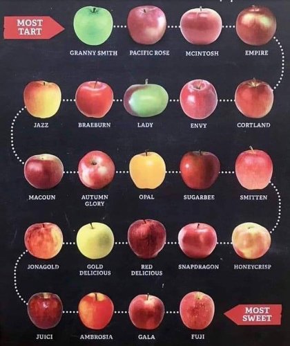 Photo post from farmbox_arizona.