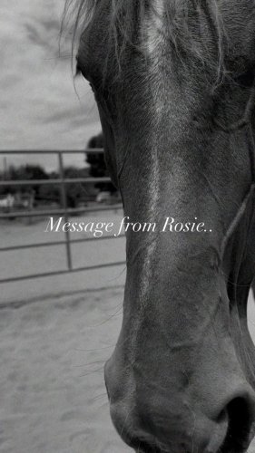 Video post from __amber_lydic__.