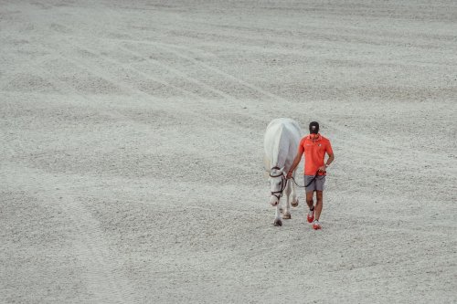 Carousel post from fei_global.