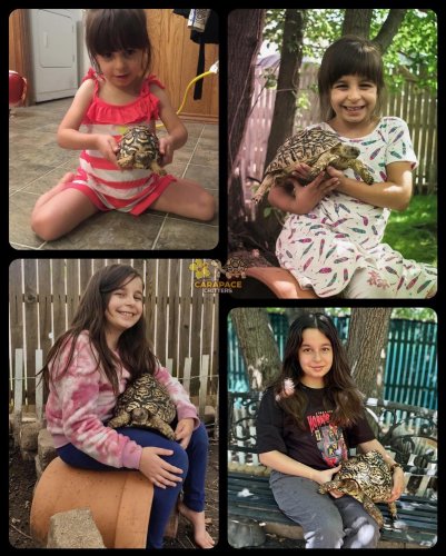 Photo post from carapacecritters.