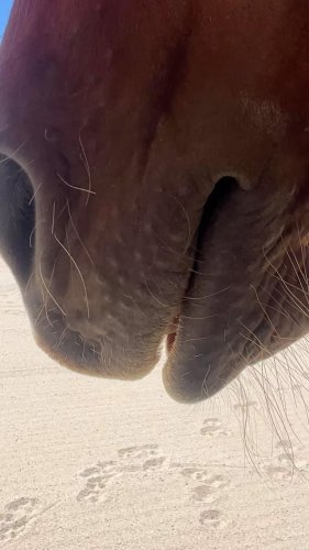 Video post from __amber_lydic__.