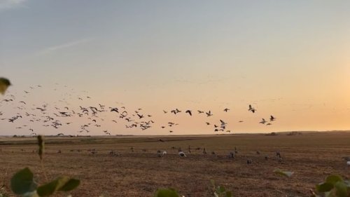 Video post from northernskiesoutfitters.