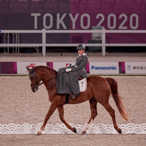 Carousel post from fei_global.