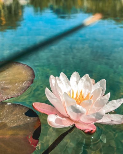 Photo post from glasshouseretreat.