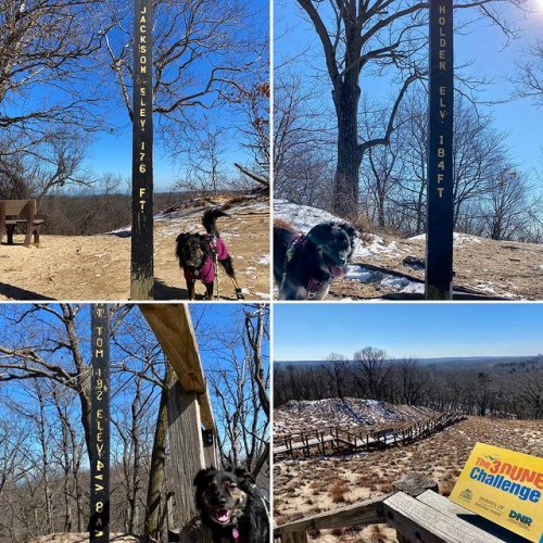 Photo post from zoeys_pawventures.