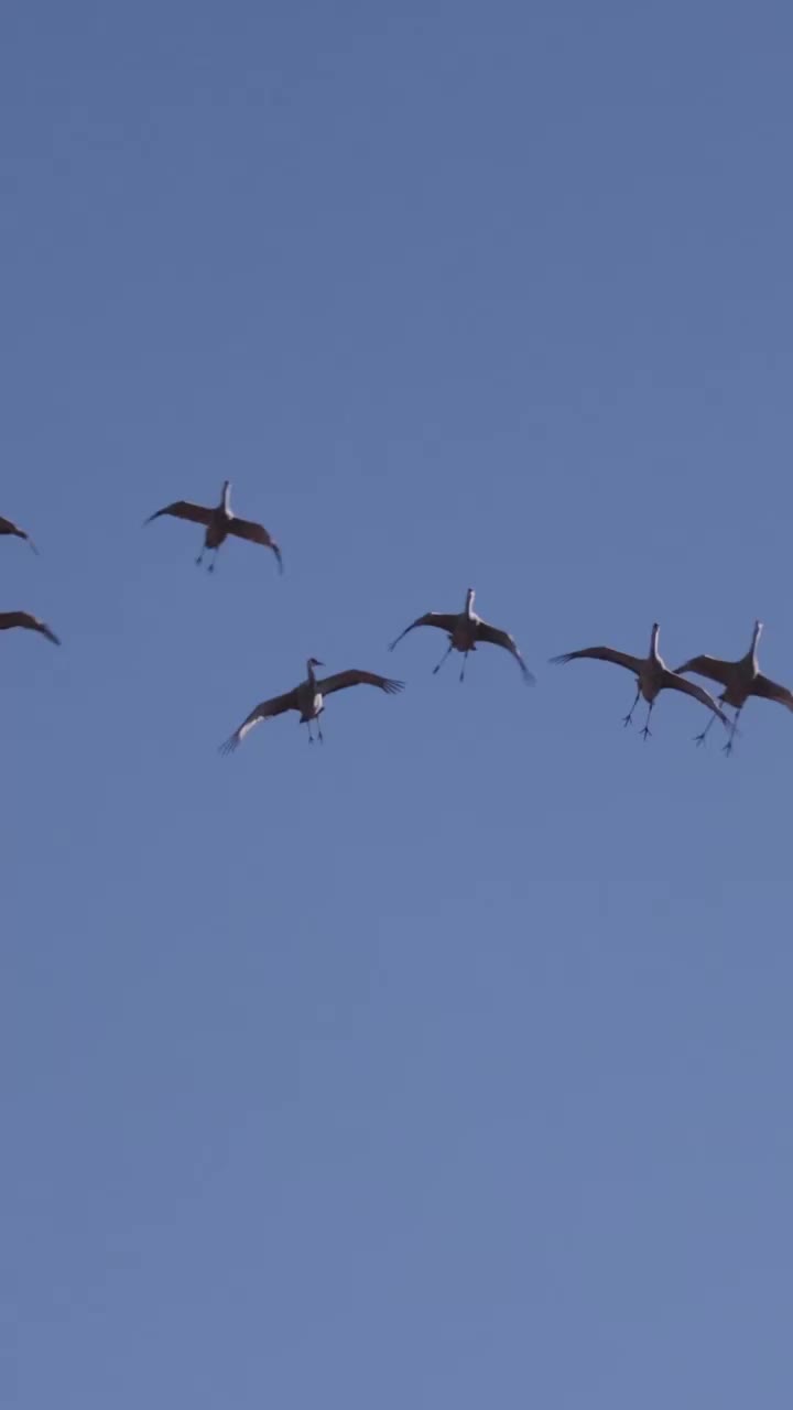 Video post from northernskiesoutfitters.