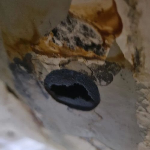 Carousel post from triexpertsolutions.