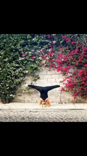 Video post from reachyoga_sd.