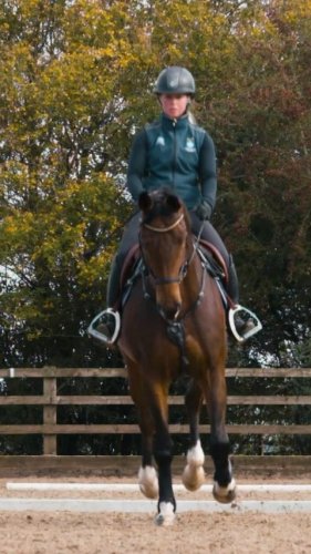 Video post from fei_global.