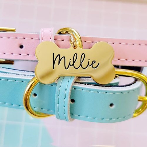 Photo post from furrypeeps.