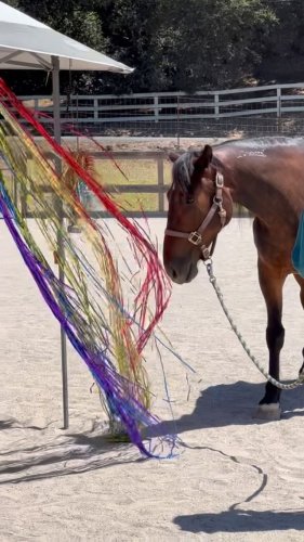 Video post from __amber_lydic__.