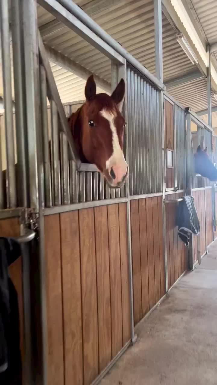 Video post from __amber_lydic__.