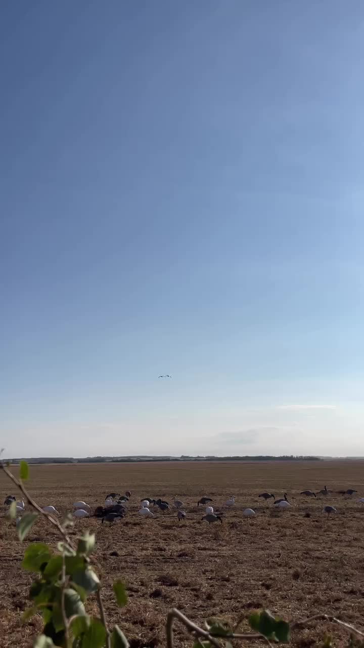 Video post from northernskiesoutfitters.