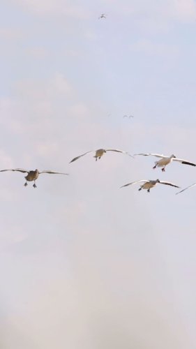 Video post from northernskiesoutfitters.