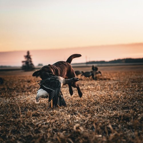 Photo post from northernskiesoutfitters.