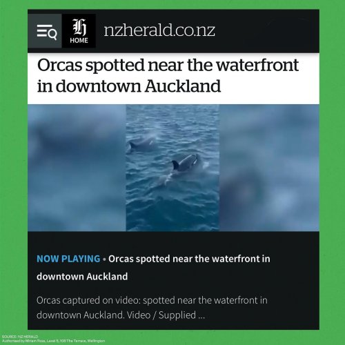 Photo post from nzgreenparty.