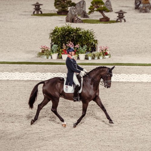 Carousel post from fei_global.