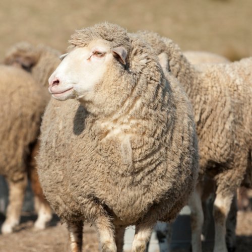 Photo post from hotelonnorth.