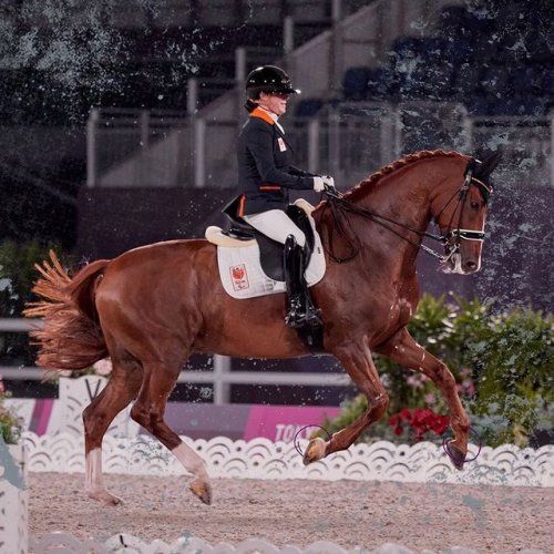 Video post from fei_global.