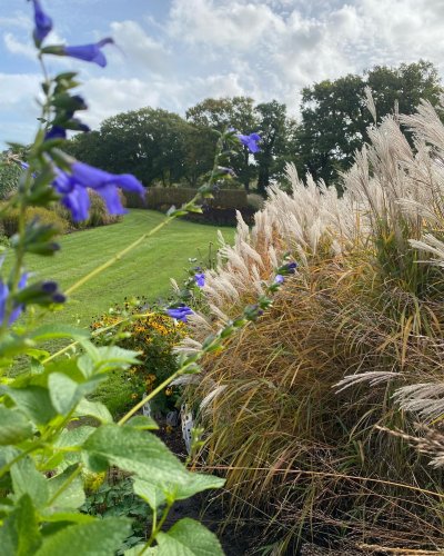 Photo post from sussexprairies.