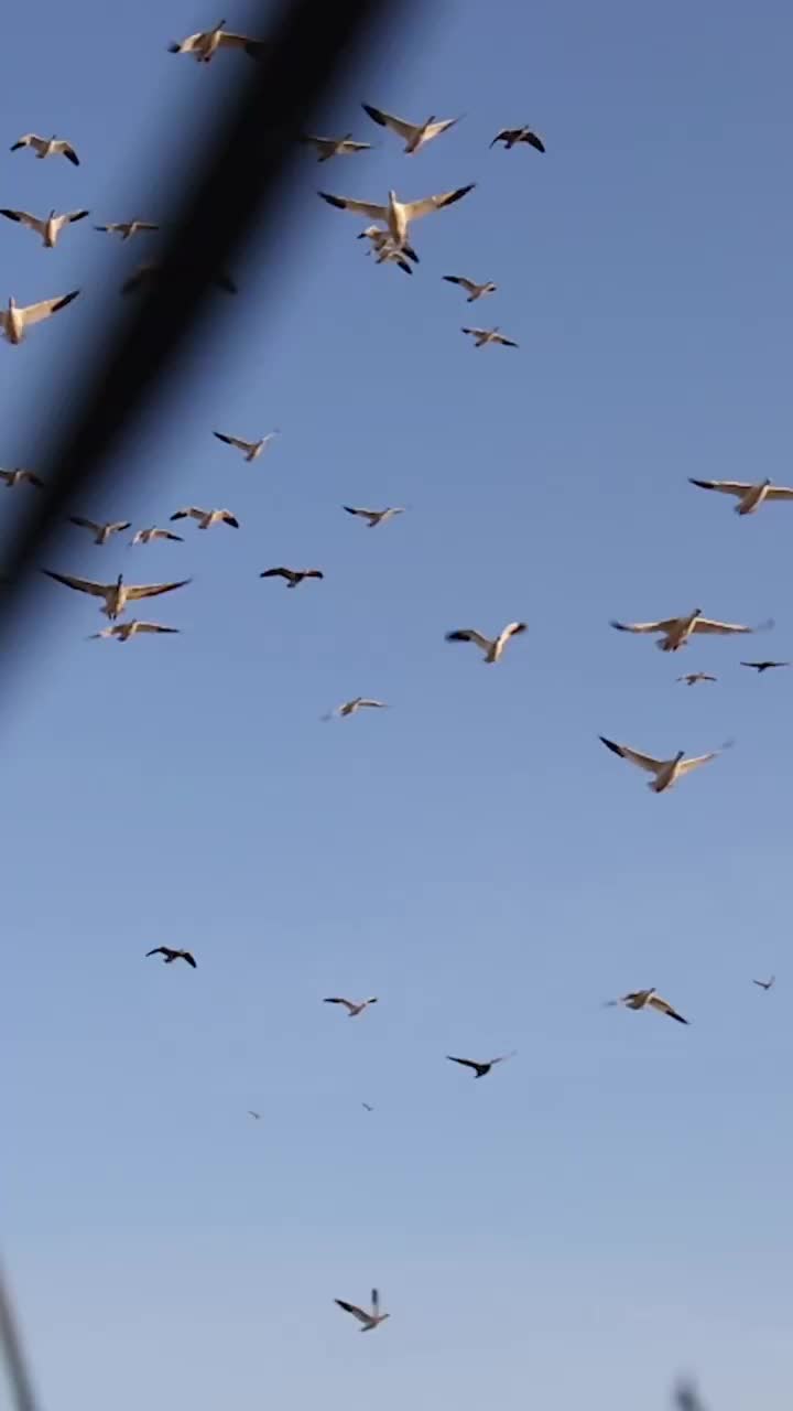 Video post from northernskiesoutfitters.