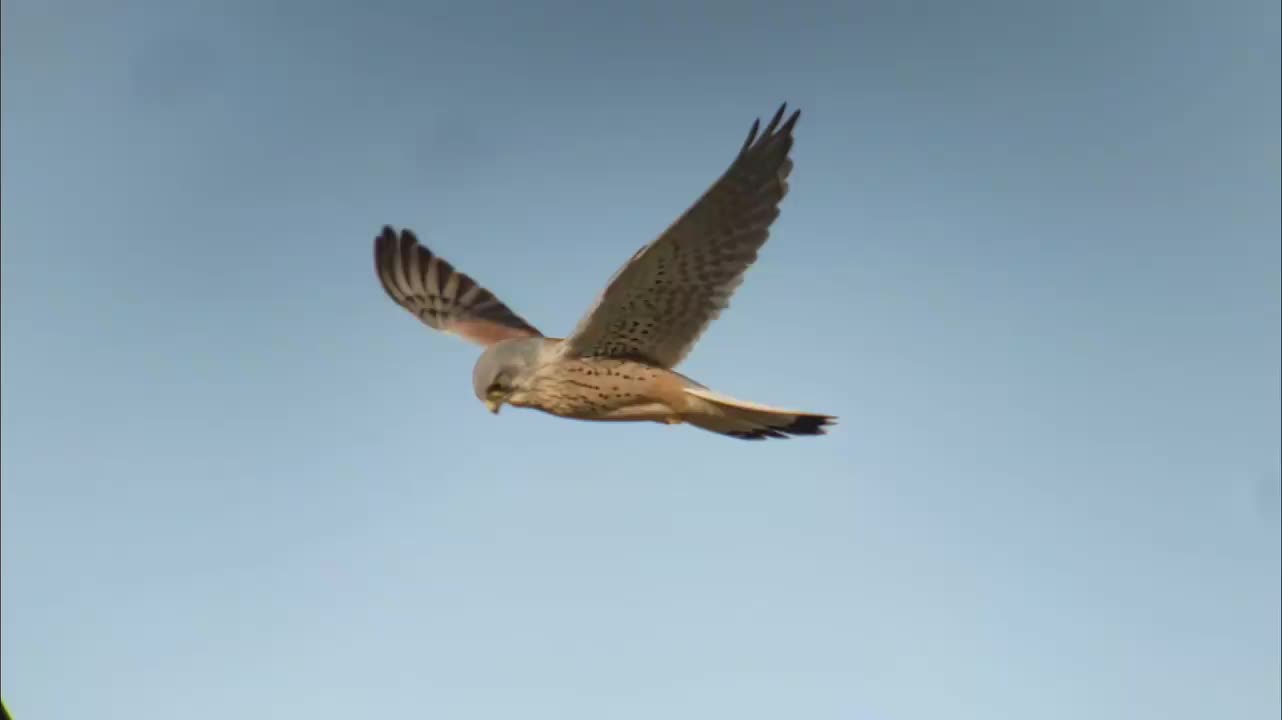 Video post from naturbutikken.dk.