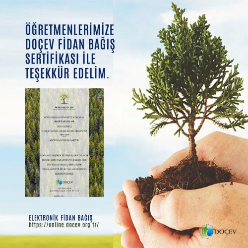 Photo post from dogavecevrevakfi.