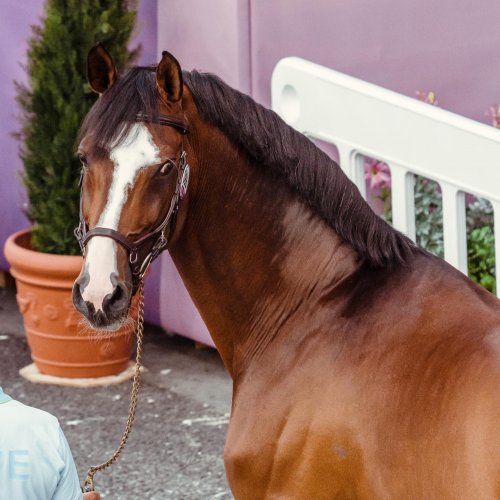 Photo post from fei_global.