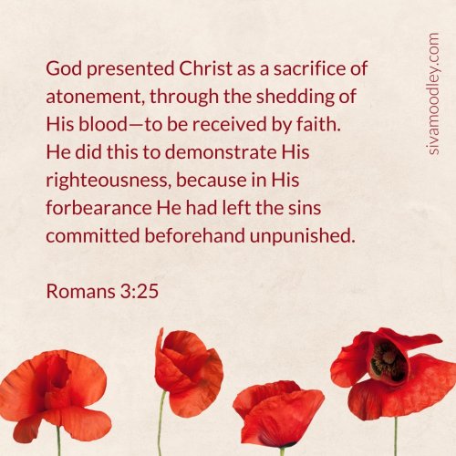 Photo post from drsivamm.