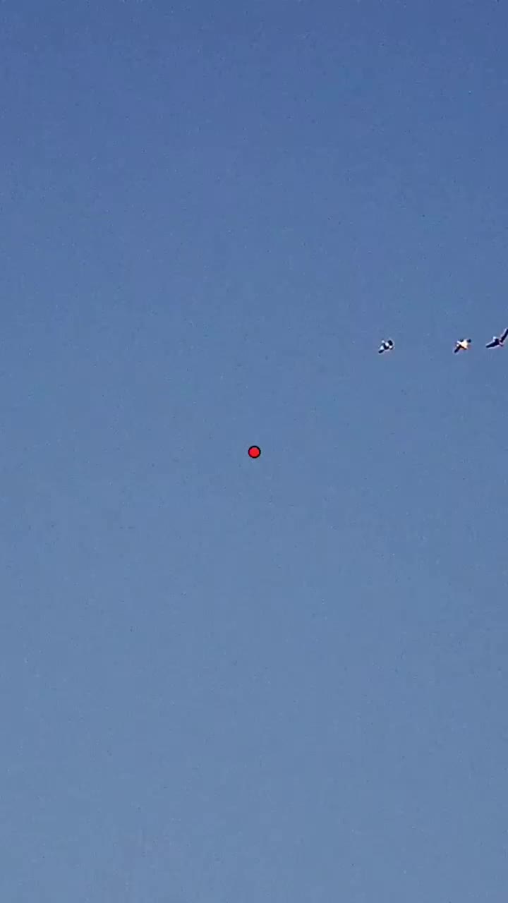 Video post from northernskiesoutfitters.