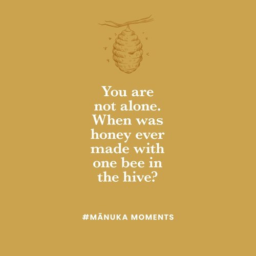 Photo post from comvita_nz.