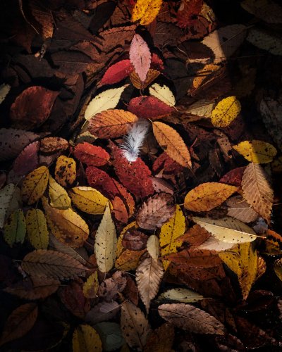 Photo post from sgotofoto.