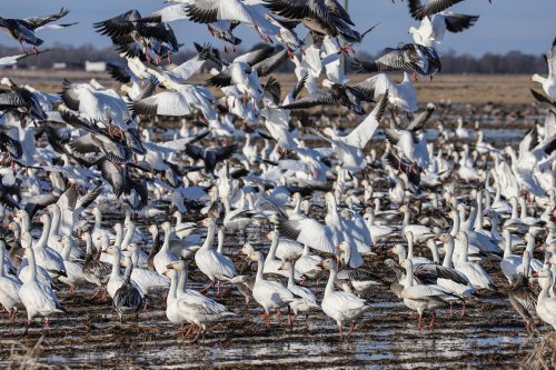 Photo post from northernskiesoutfitters.