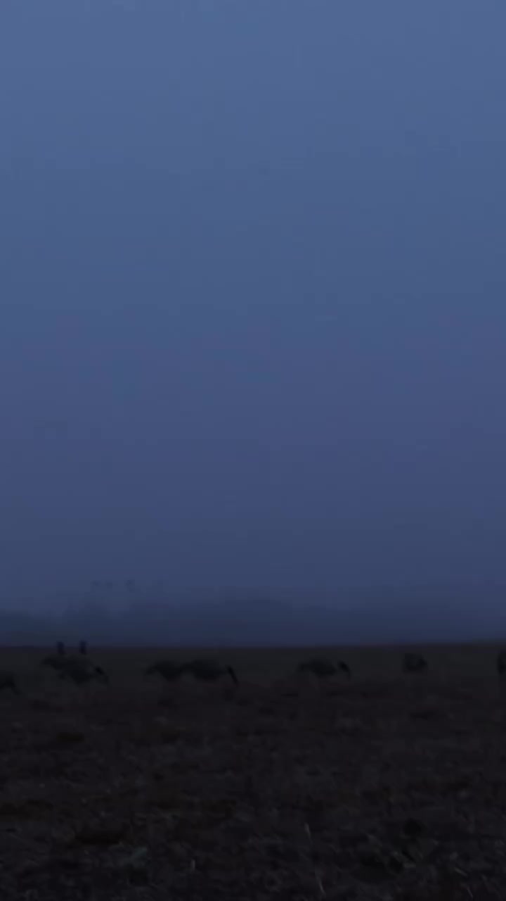 Video post from northernskiesoutfitters.