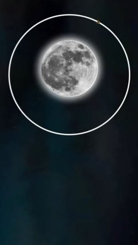 Video post from homeotic_international.