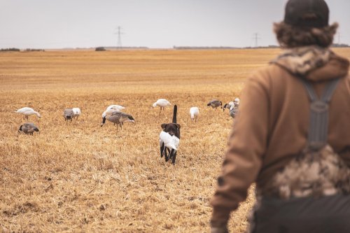 Photo post from northernskiesoutfitters.