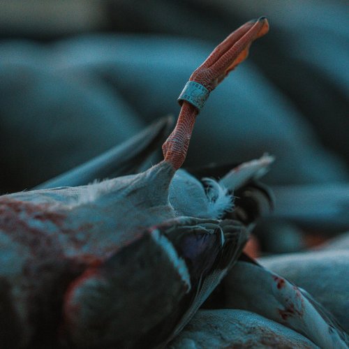 Photo post from northernskiesoutfitters.