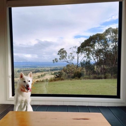 Photo post from in2thewild.aus.