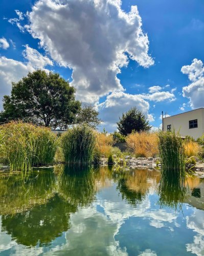 Photo post from glasshouseretreat.