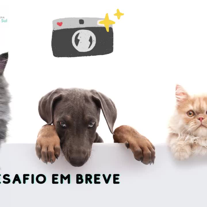 Video post from clinica_veterinaria_dourosul.