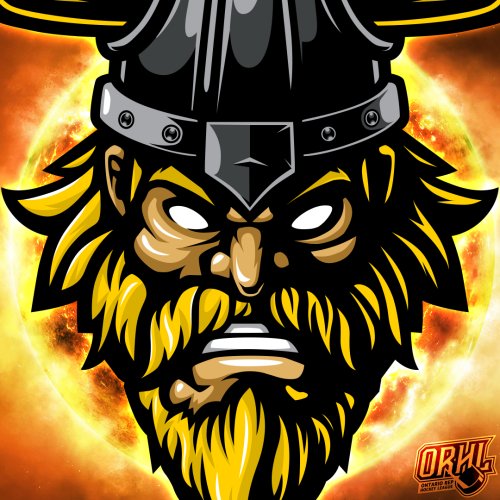 Photo post from orhlhockey.